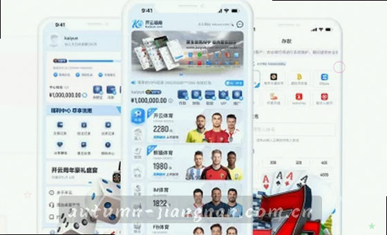 卡片2展示内容判断要点